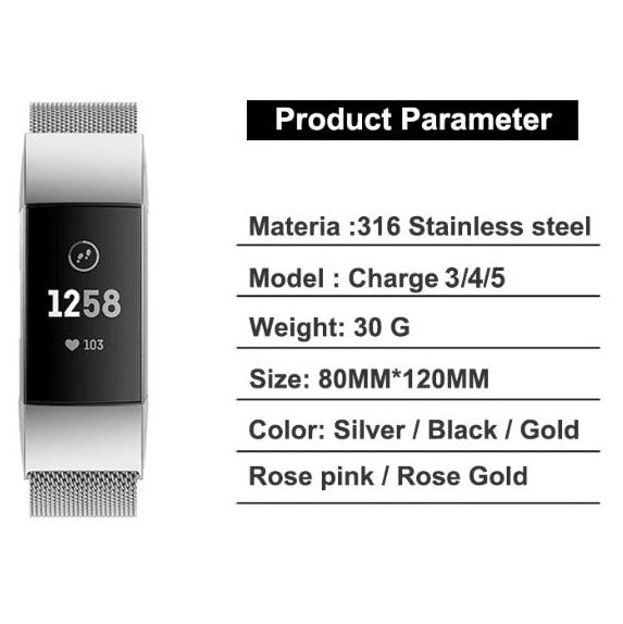 premium stainless steel strap charge 5 specification
